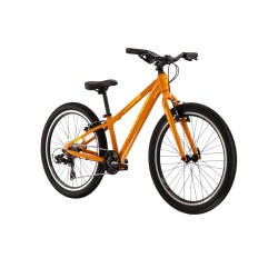 LEVEL JR 2.0 LIGHT 24"