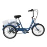 TRICICLO 20" 6V