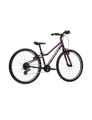 LIFTIE 24