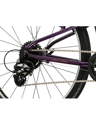 LIFTIE 24