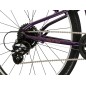 LIFTIE 24