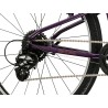 LIFTIE 24