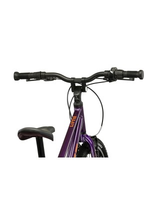 LIFTIE 24
