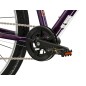 LIFTIE 24