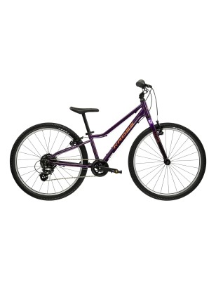 LIFTIE 24