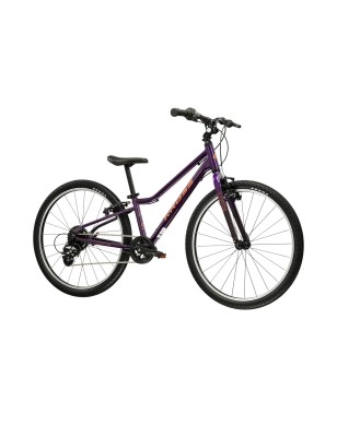 LIFTIE 24
