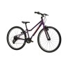 LIFTIE 24
