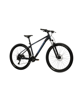 HEXAGON X300