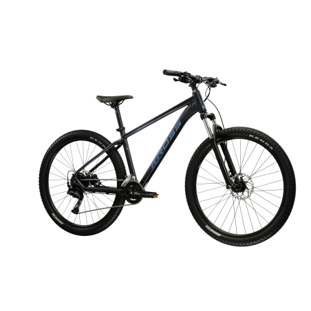 HEXAGON X300