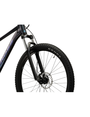 HEXAGON X300