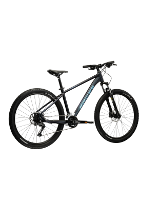 HEXAGON X300