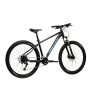 HEXAGON X300