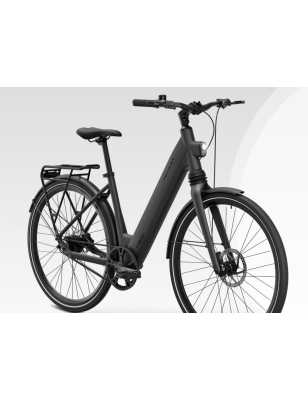 còpia de MS ENERGY ZORYA