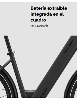MS ENERGY C300