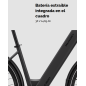 MS ENERGY C300