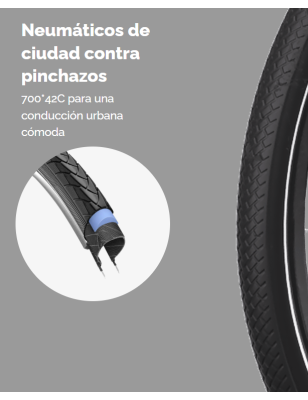 MS ENERGY C300