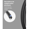 MS ENERGY C300
