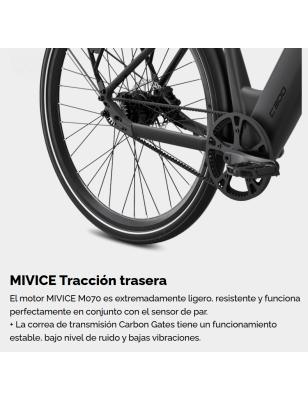 MS ENERGY C300