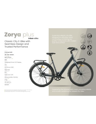 MS ENERGY ZORYA PLUS
