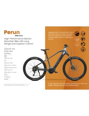 MS ENERGY PERUN