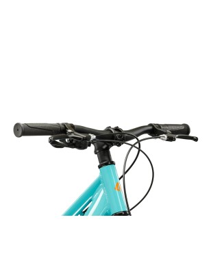 HEXAGON JR 24"