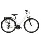 TRANS T100 MUJER