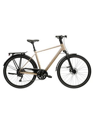 TRANS T300 HOMBRE