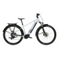 INFLUX SUV HYB 1.0 820 BAFANG