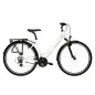 TRANS T100 MUJER