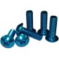 TORNILLOS M5X15mm COLORES (6 unidades)