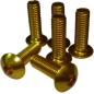 TORNILLOS M5X15mm COLORES (6 unidades)