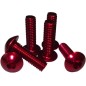 TORNILLOS M5X15mm COLORES (6 unidades)