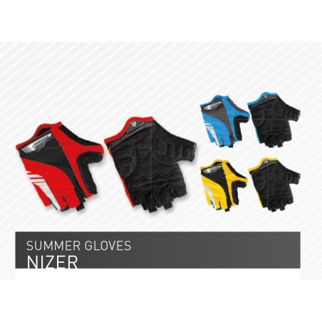 NIZER