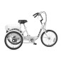 TRICICLO 20" 6V