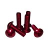 Tornillos y tapones